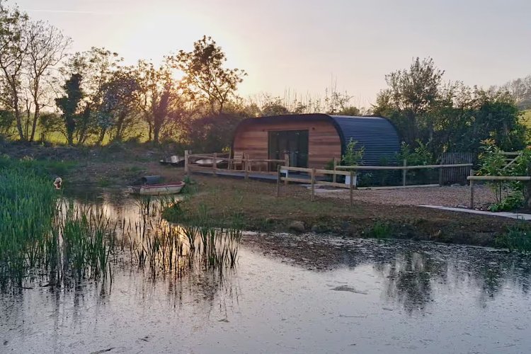 View of a pod across the pond at sunset