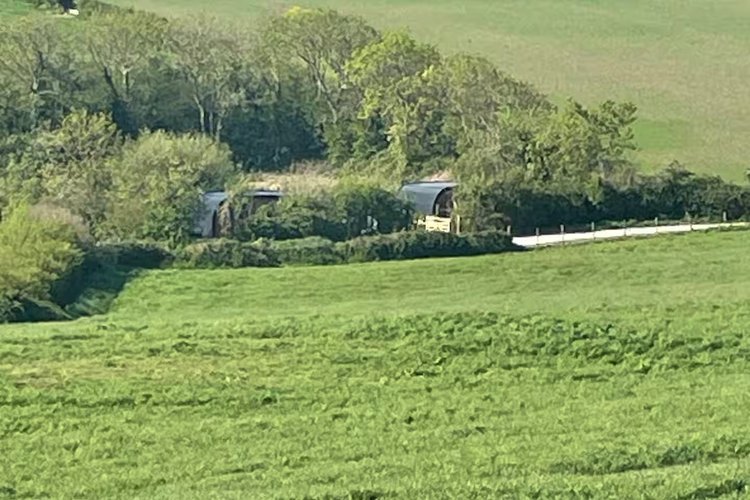 Looking at the pods from across the fields
