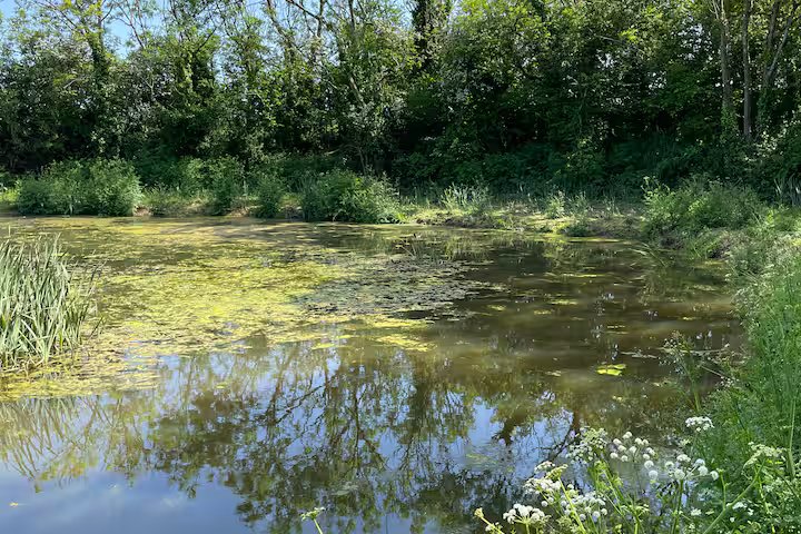 The lake at the pods