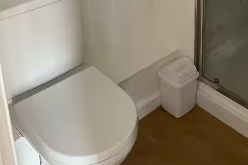The loo