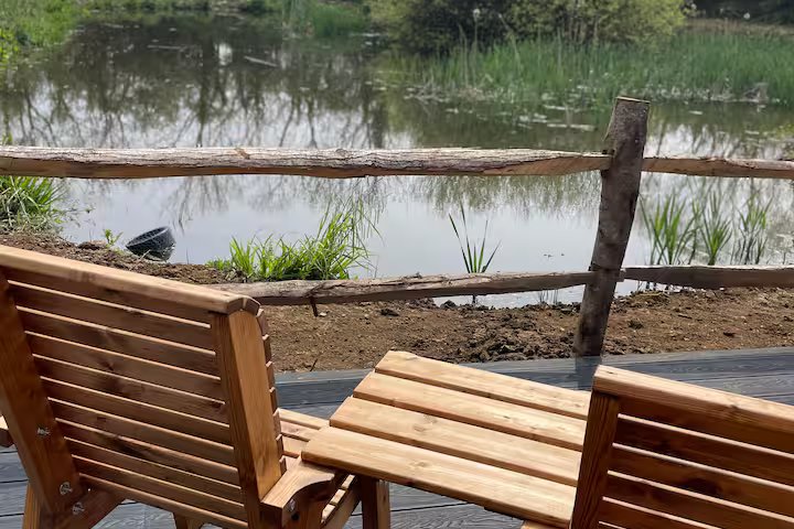 Looking out from the decking area across the pond